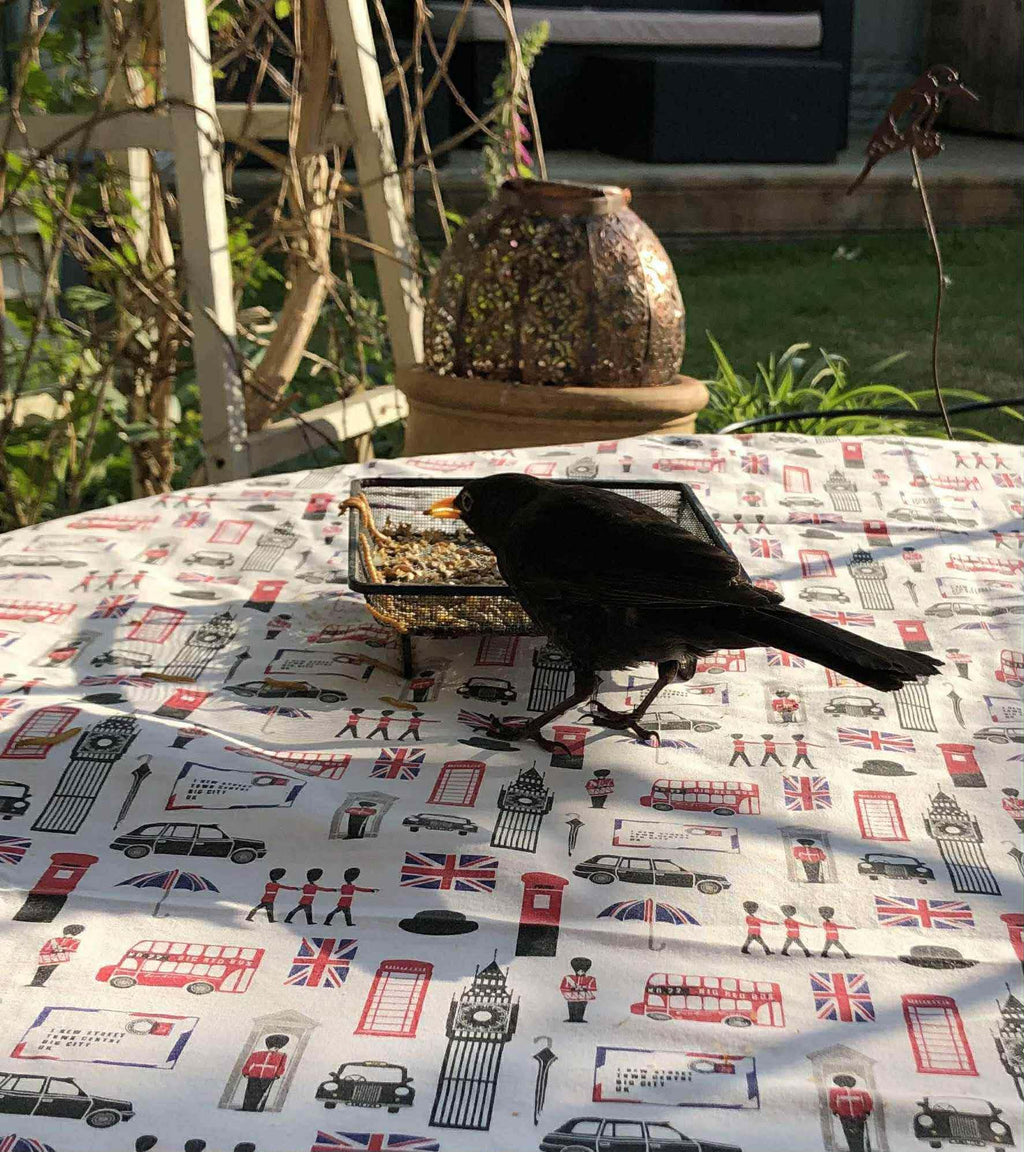 Live Mealworms