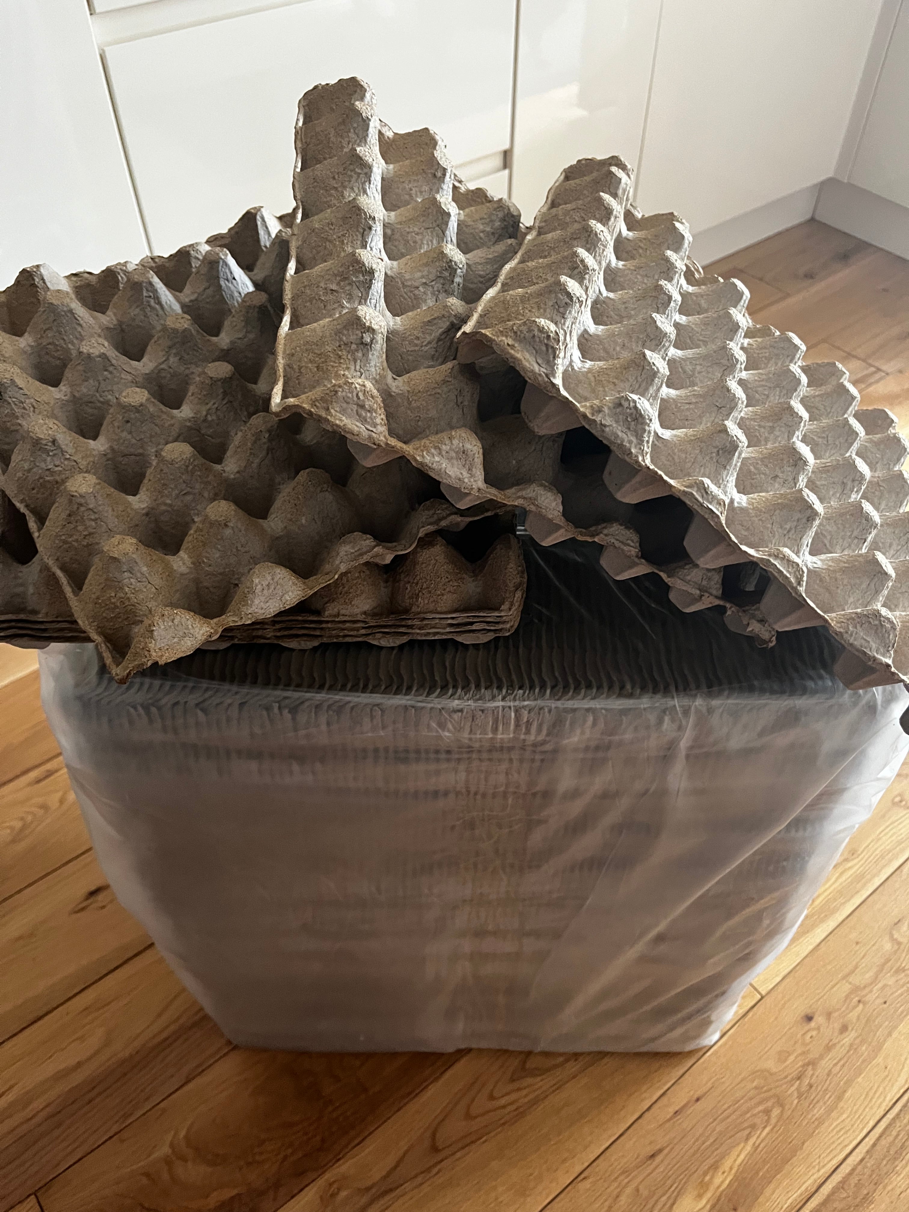 10x Cardboard Egg Trays