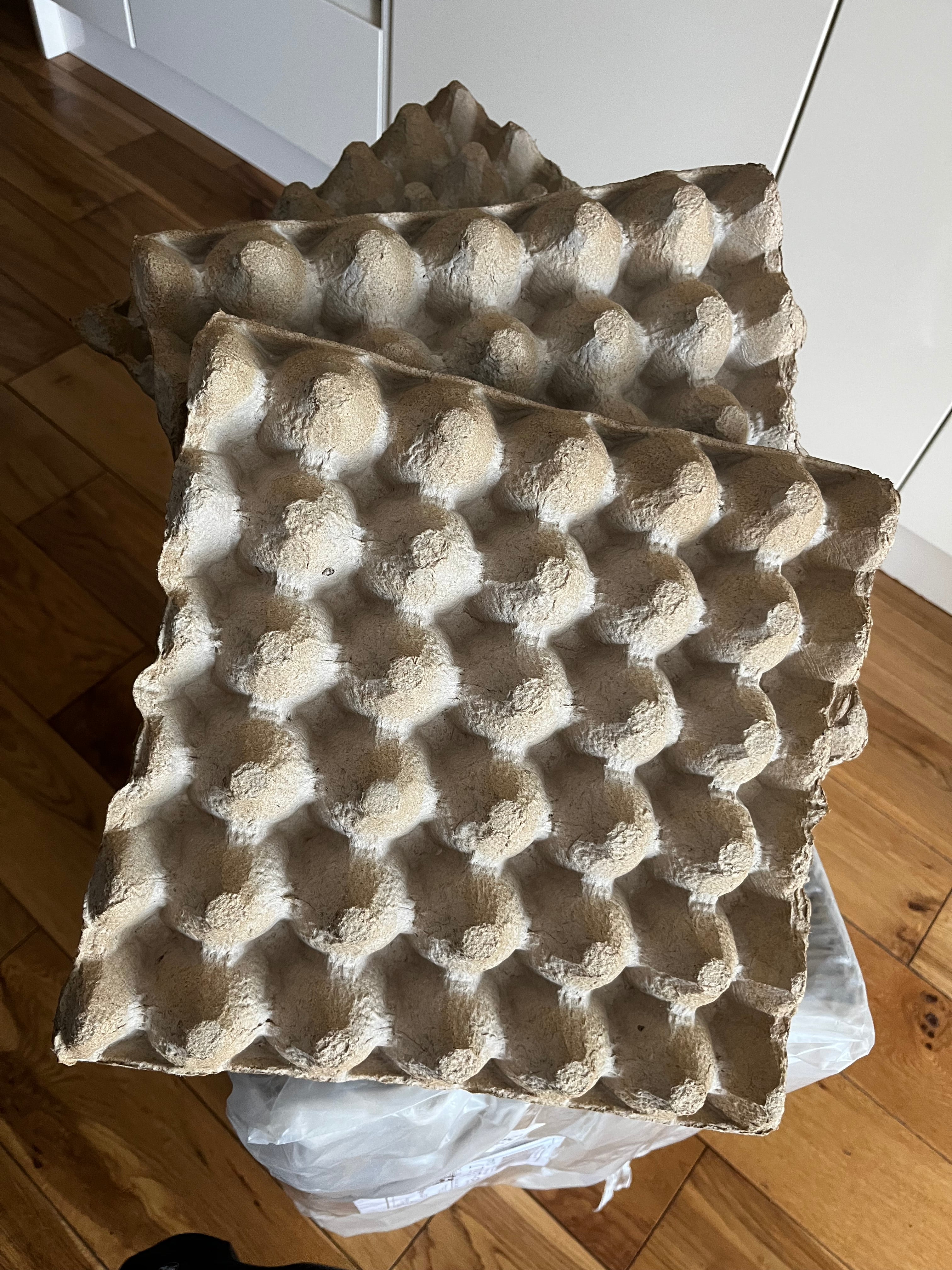 10x Cardboard Egg Trays