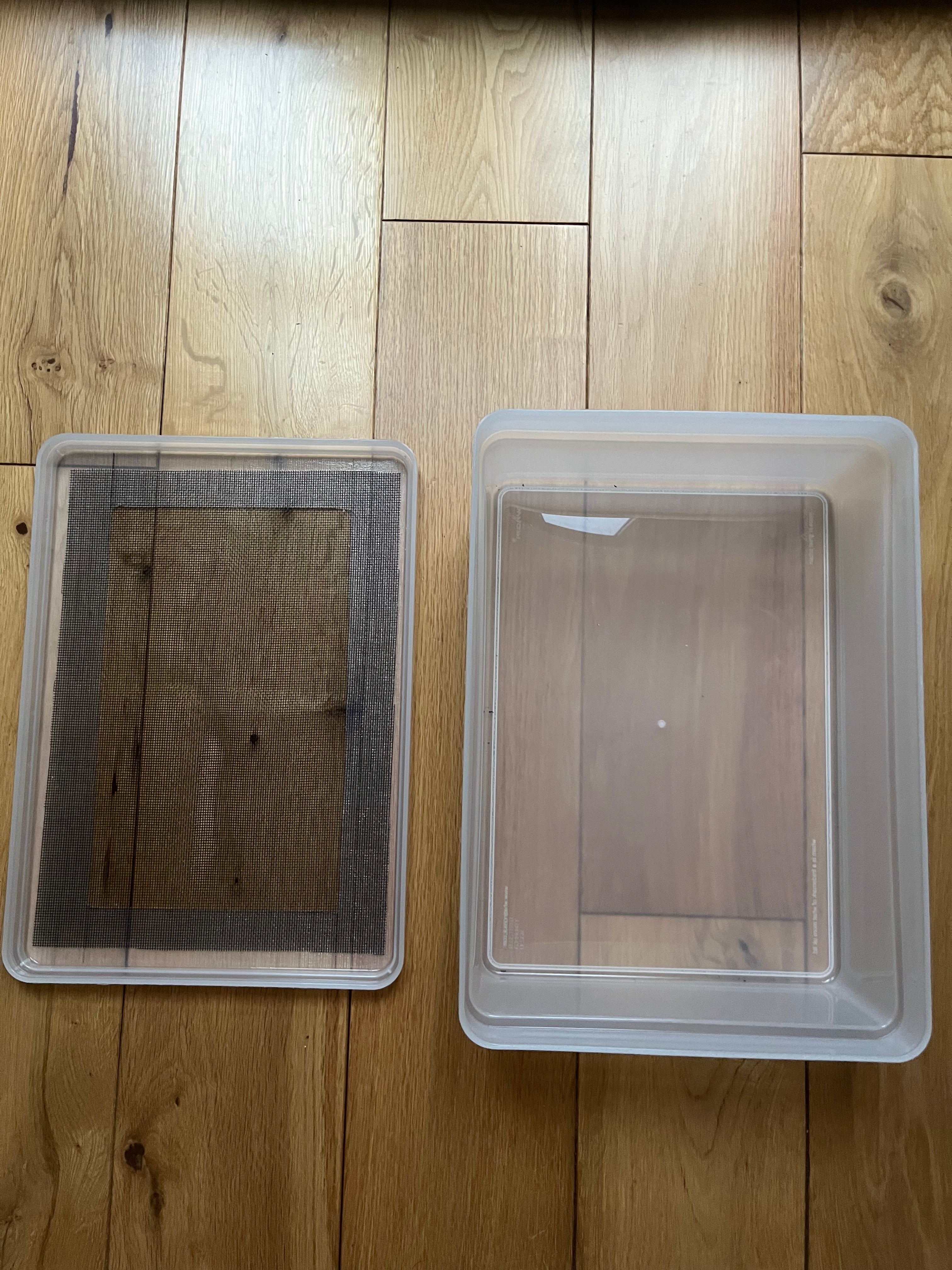Mealworm Rearing Tray