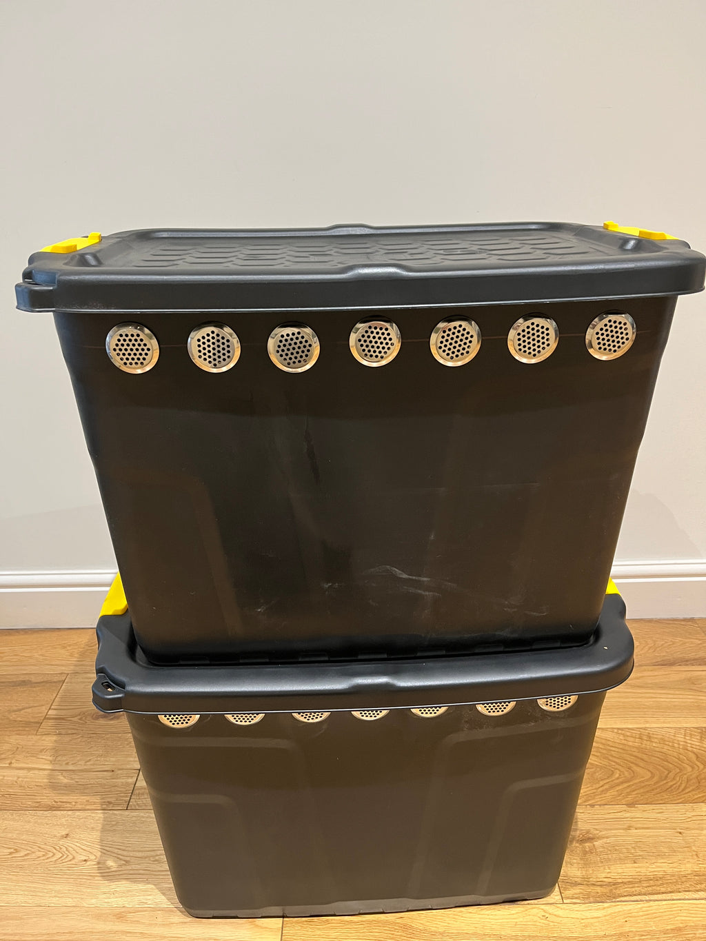 Dubia Roach/ Insect Enclosure