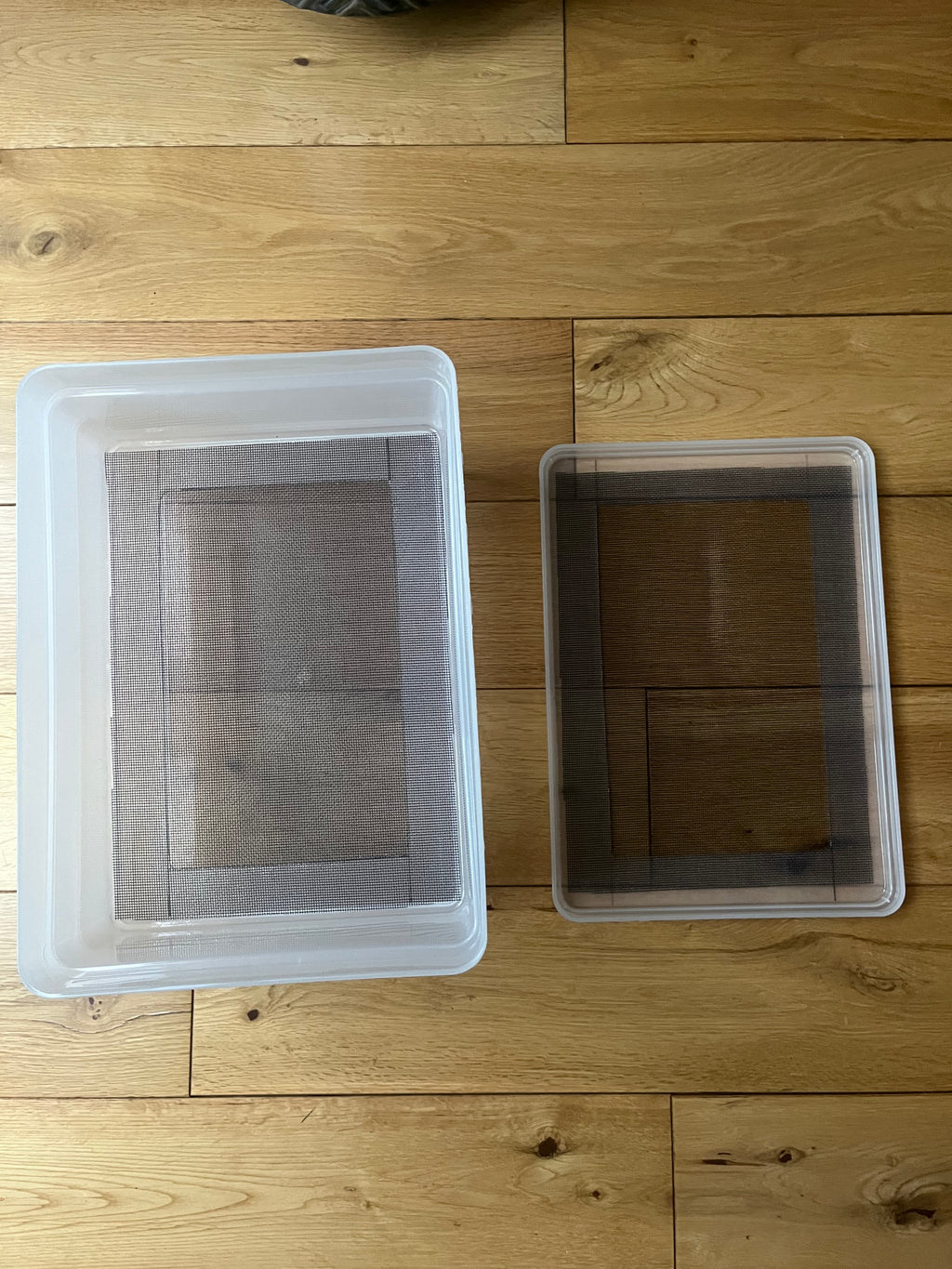 Mealworm/ Darkling Beetles Breeding Tray