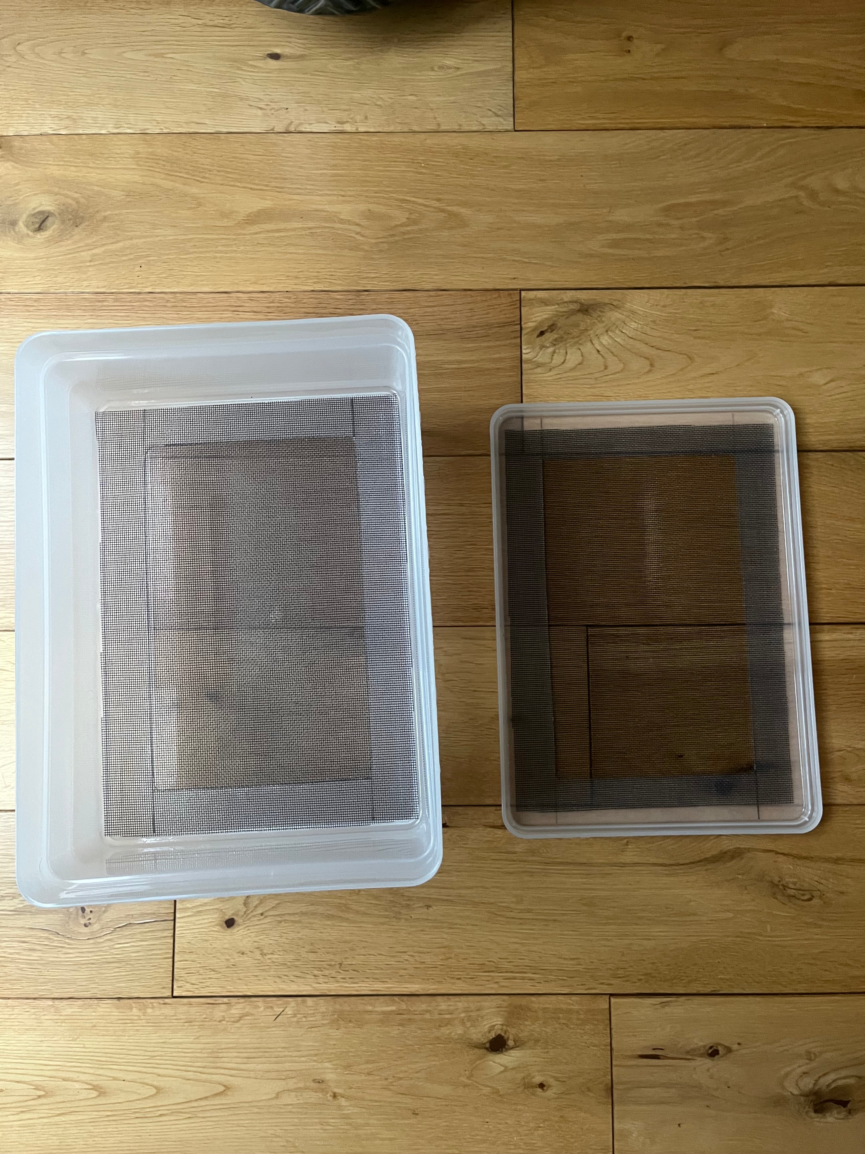 Mealworm/ Darkling Beetles Breeding Tray