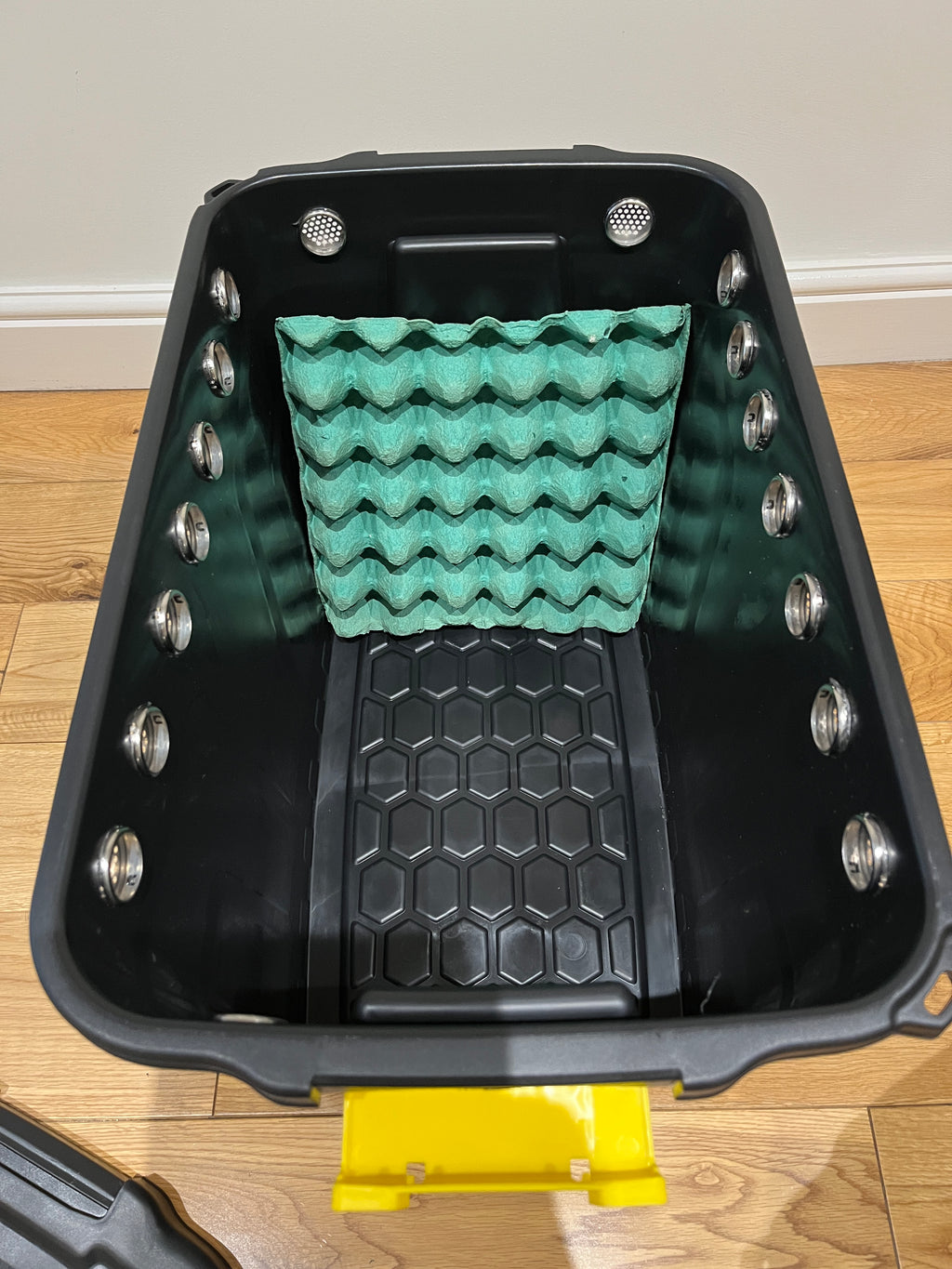 Dubia Roach/ Insect Enclosure