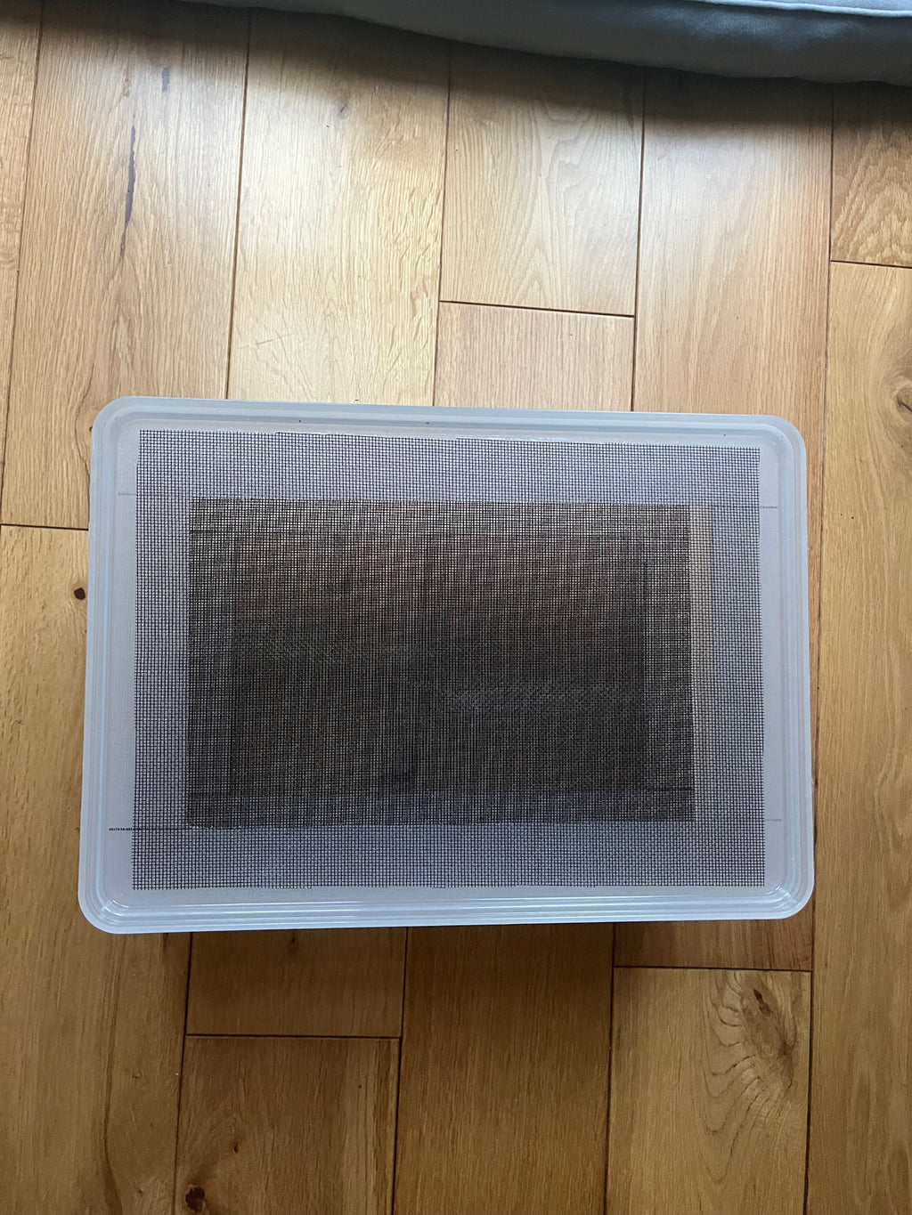 Mealworm/ Darkling Beetles Breeding Tray