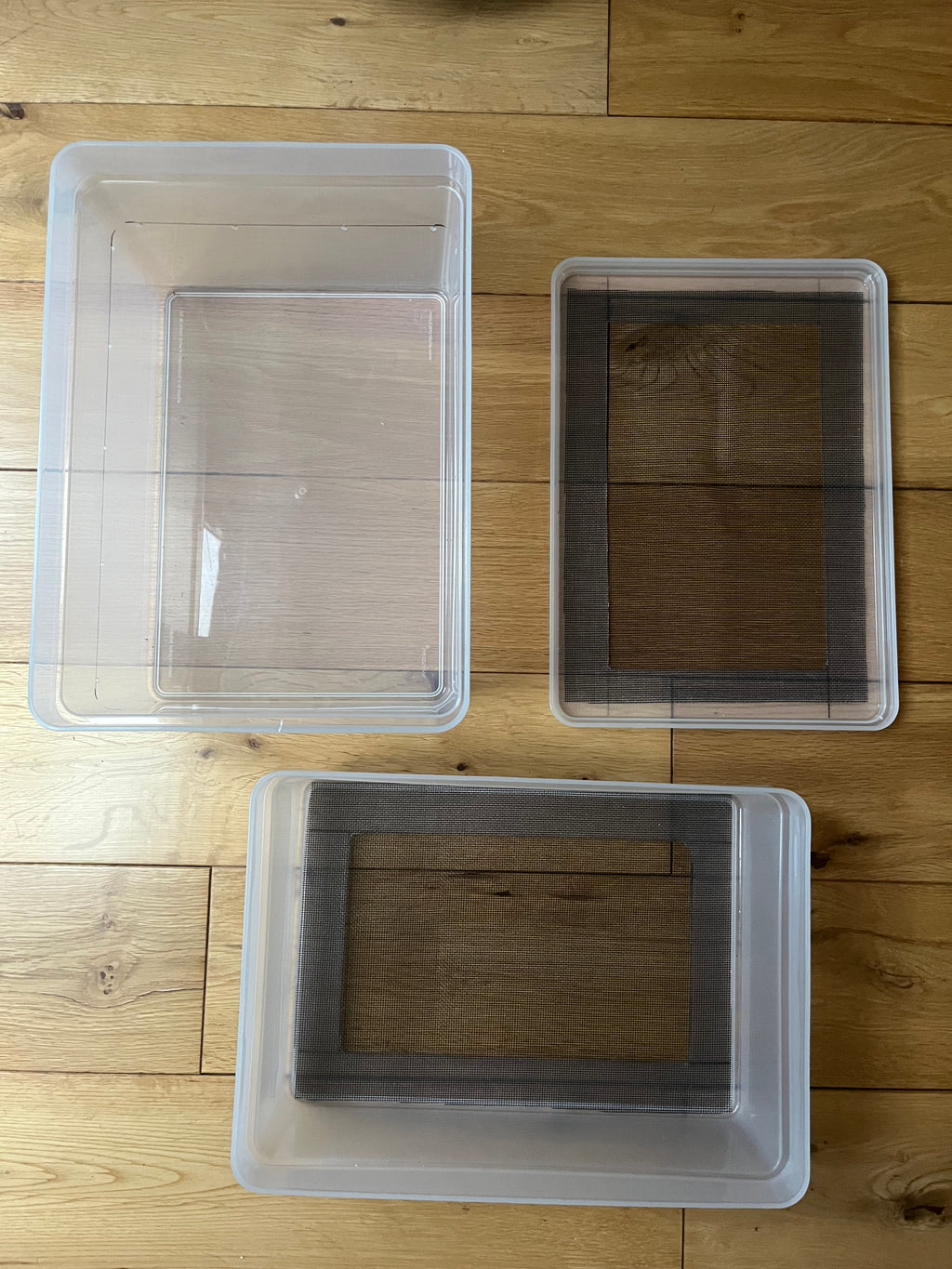 Mealworm/ Darkling Beetles Breeding Tray