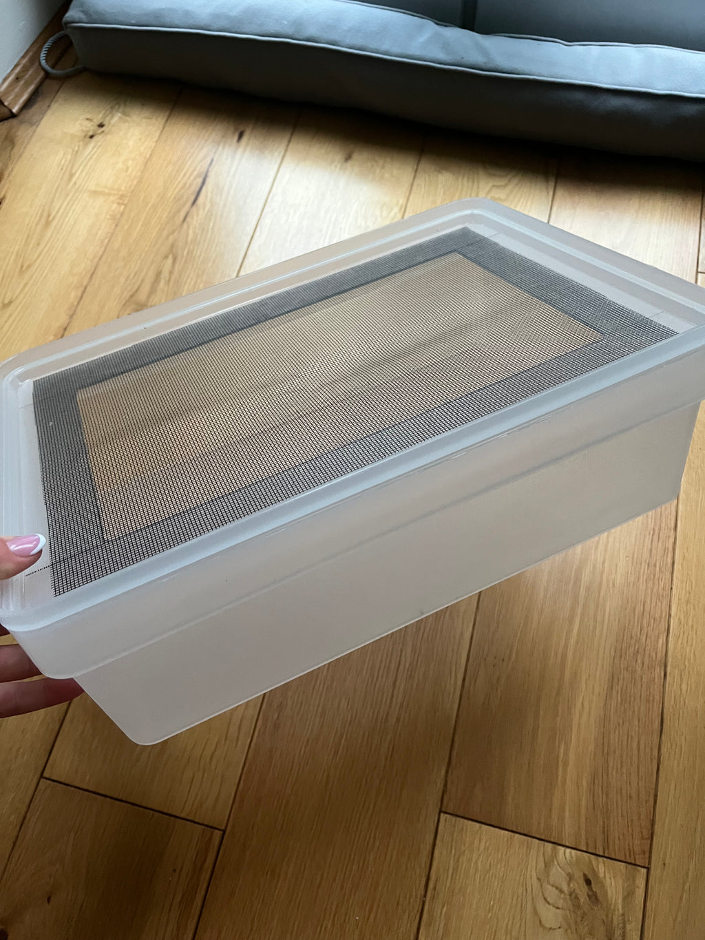 Mealworm Rearing Tray