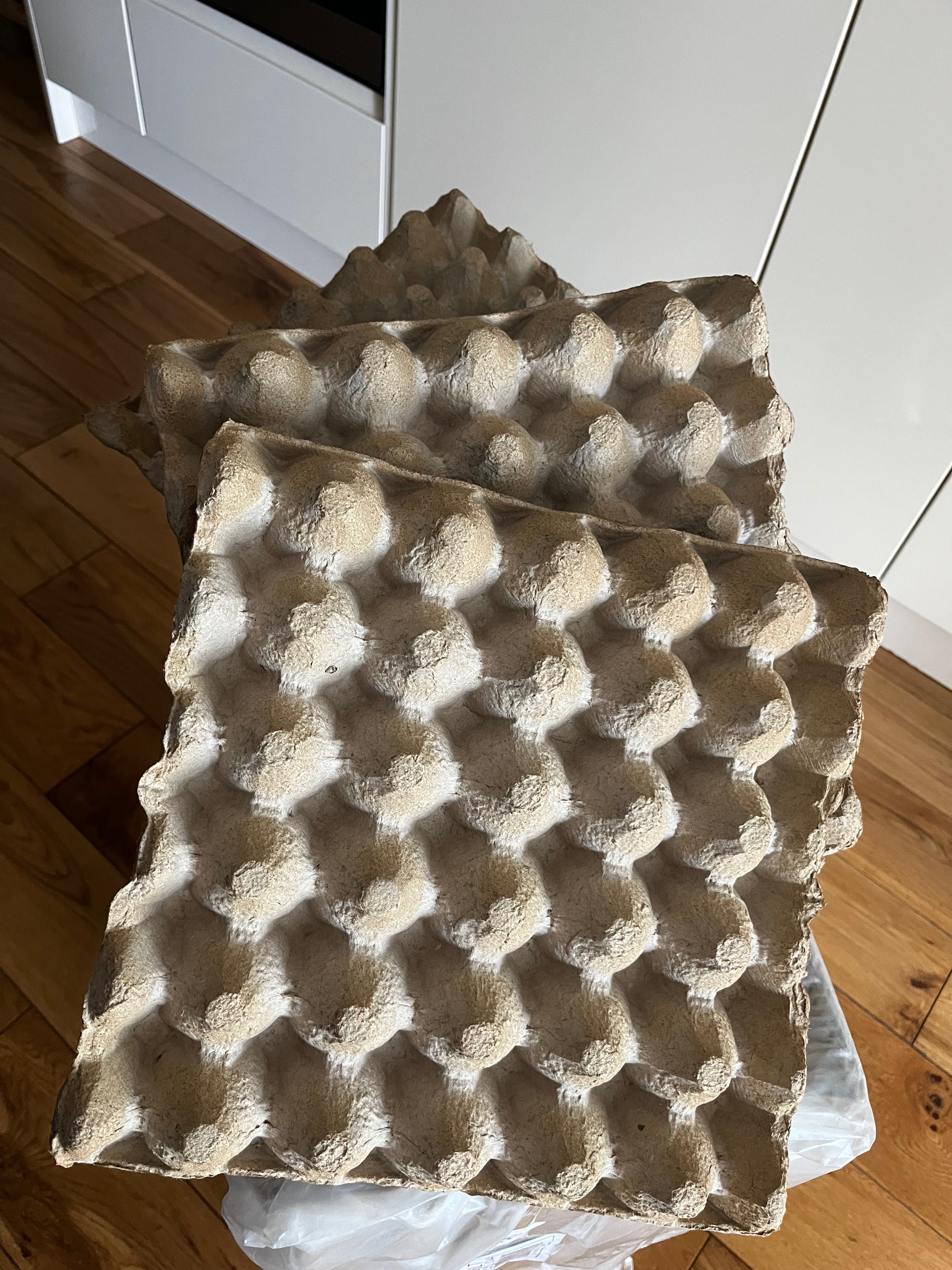 10x Cardboard Egg Trays
