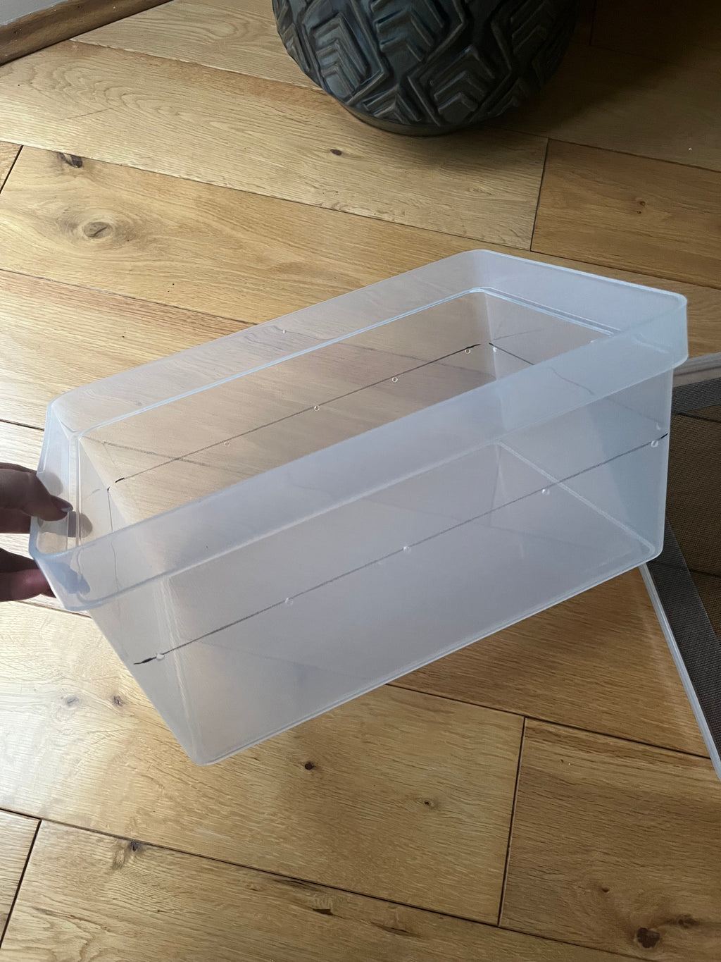 Mealworm/ Darkling Beetles Breeding Tray