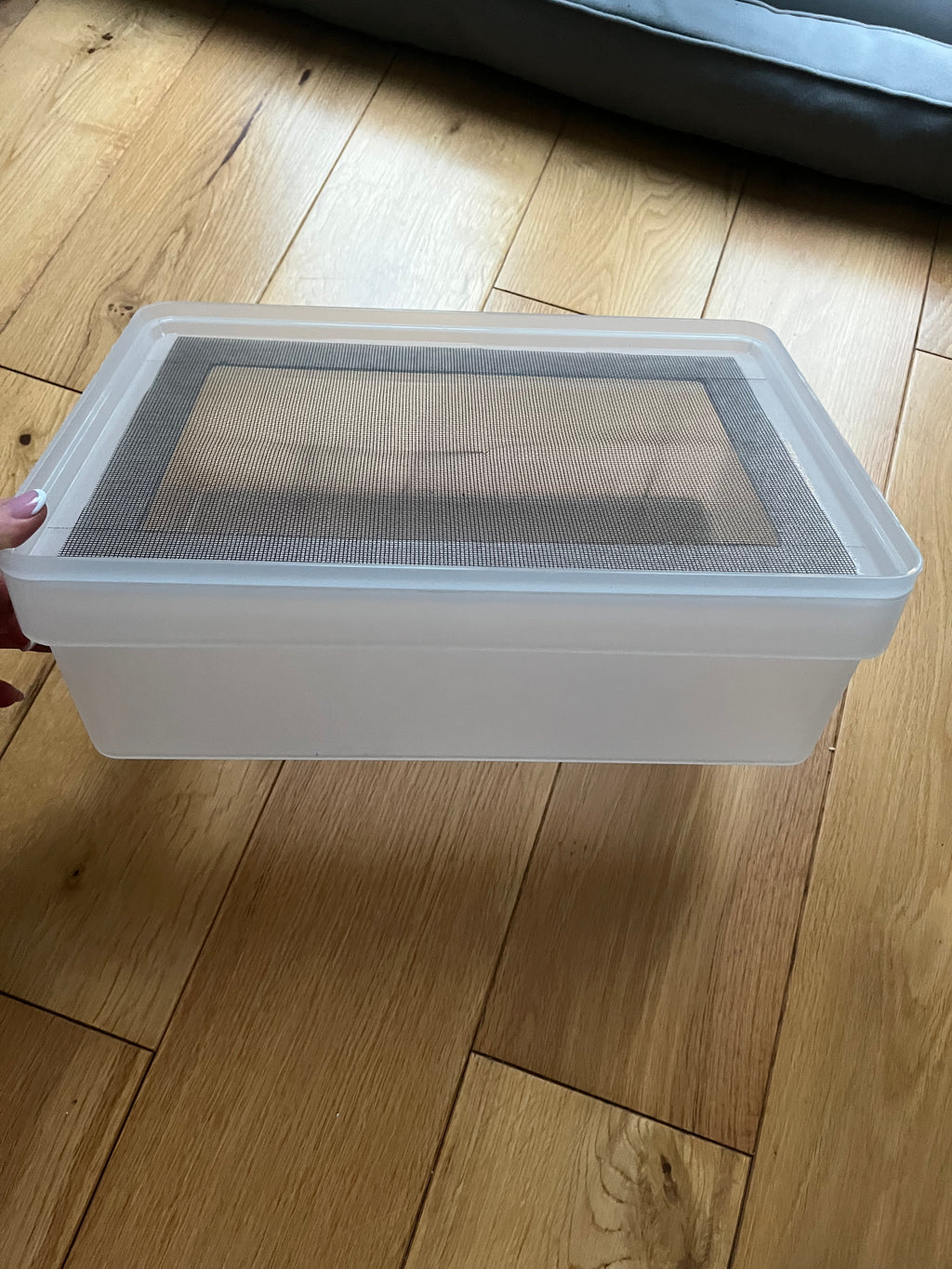 Mealworm Rearing Tray