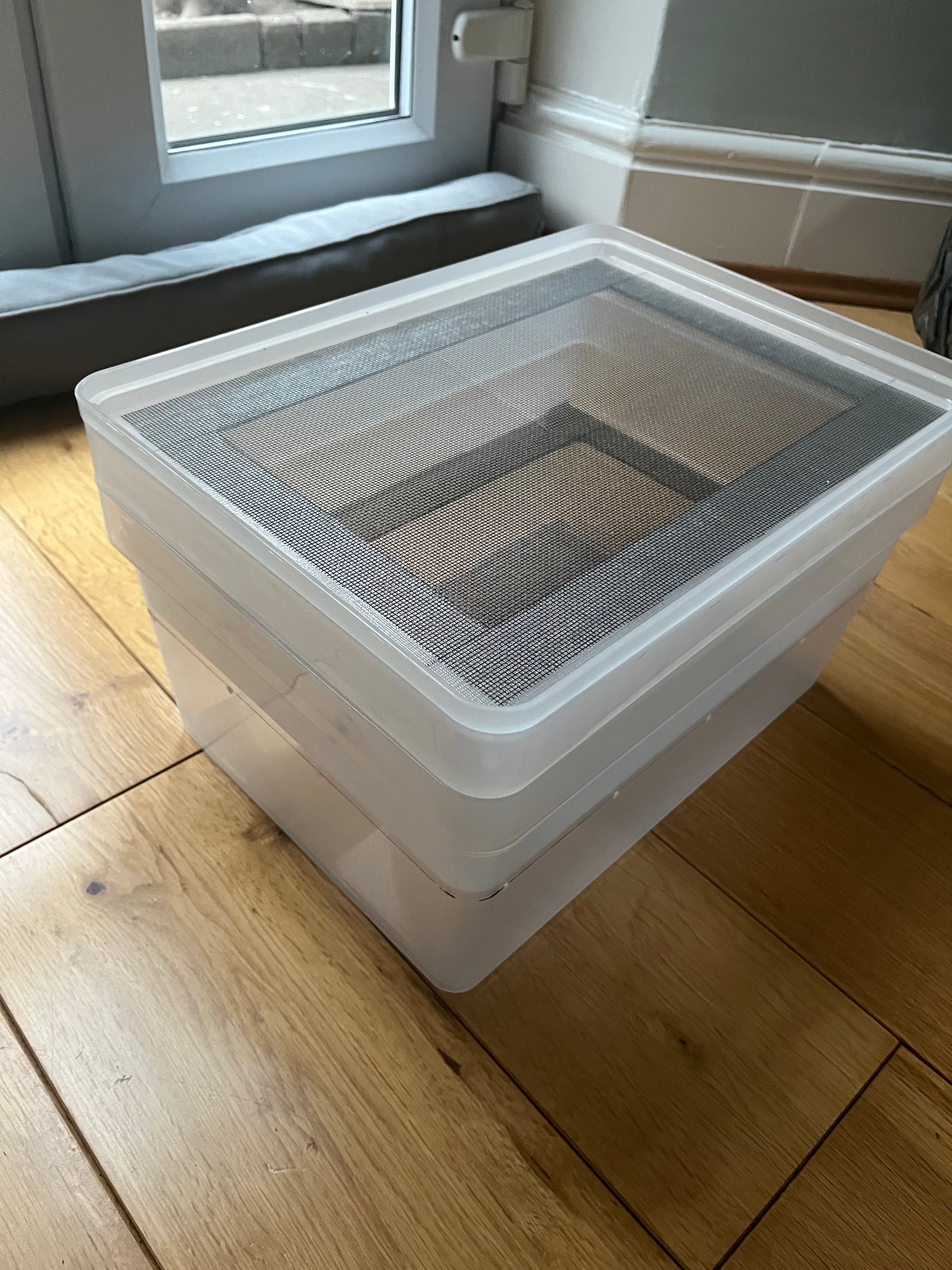 Mealworm/ Darkling Beetles Breeding Tray