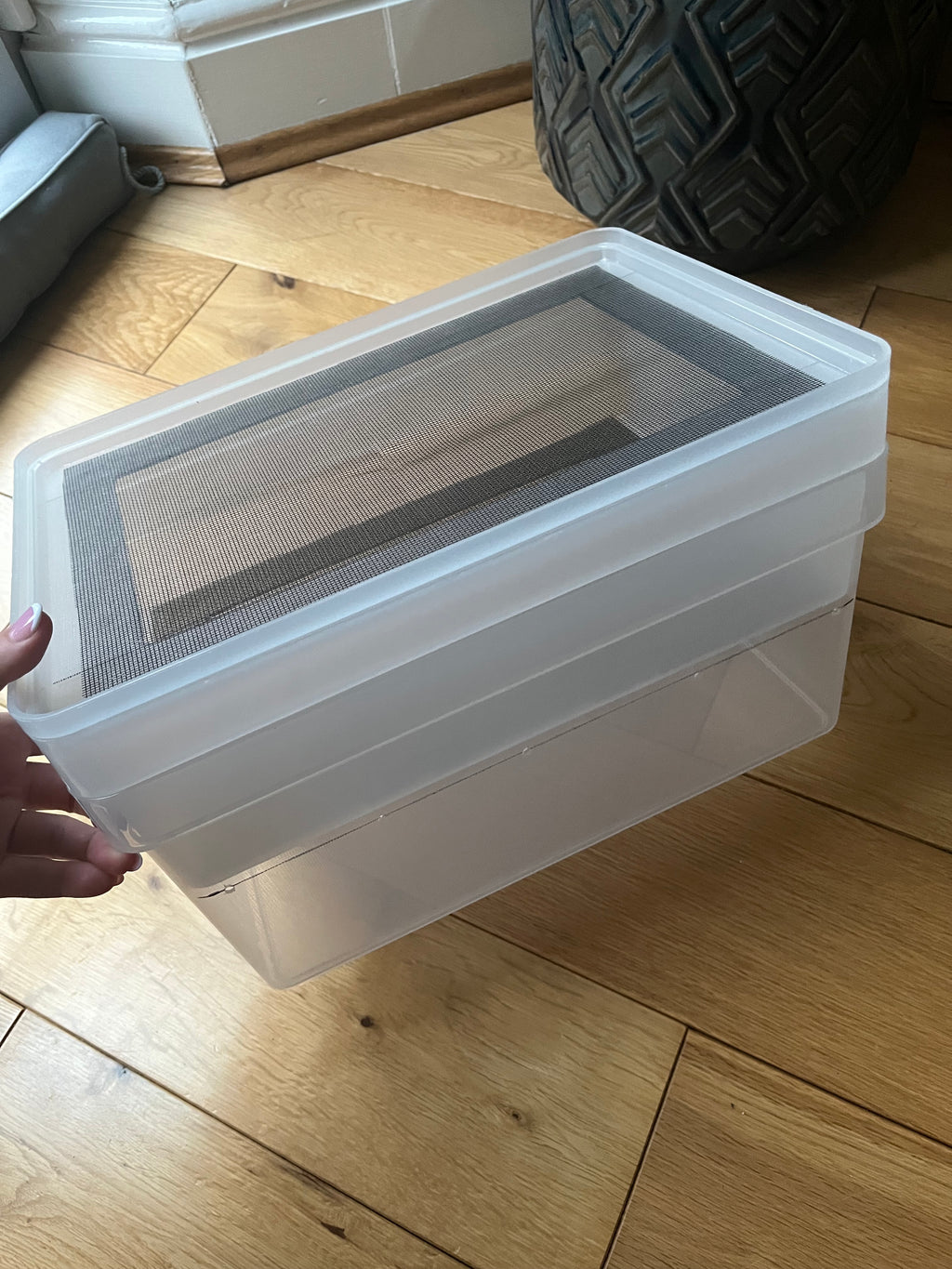 Mealworm/ Darkling Beetles Breeding Tray